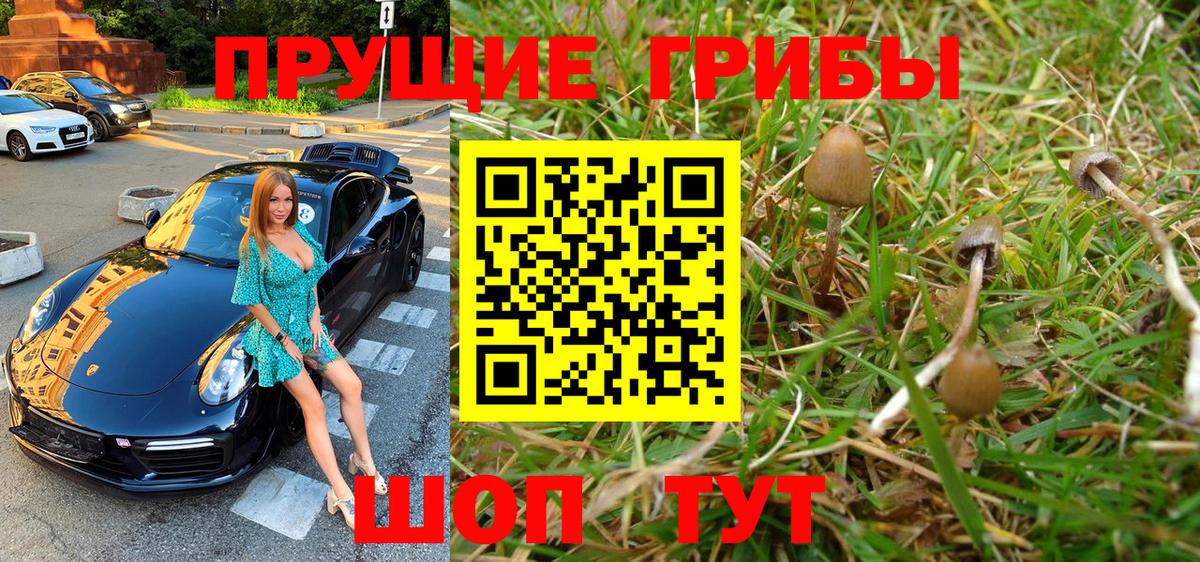 Псилоцибиновые грибы MAGIC MUSHROOMS Бахчисарай